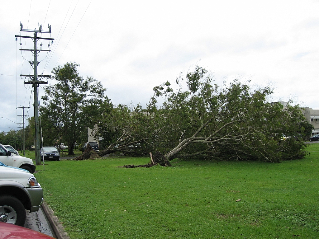 Cairns38 Cyclone Larry.jpg